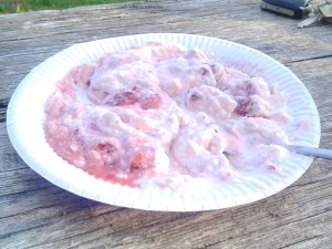 hCG Mahlzeit: Magerquark mit Erdbeeren