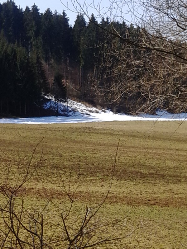 Schöner Spazierweg