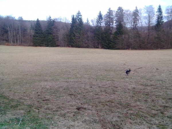 Spaziergang Bahnhöfle Schwäbische Alb