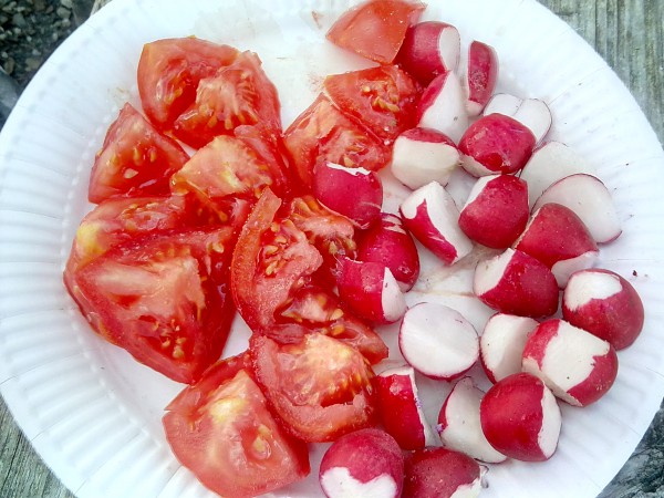 Tomaten mit Radieschen